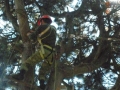 DSCN8332