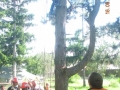 DSCN8334