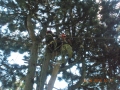 DSCN8338